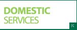 Domestic Services